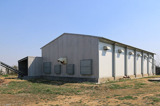 Pre-engineered Steel Chicken House Q355B Sqaure Tube Dan Bagian H