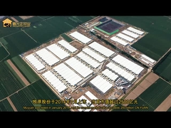 Steel Structure Poultry House